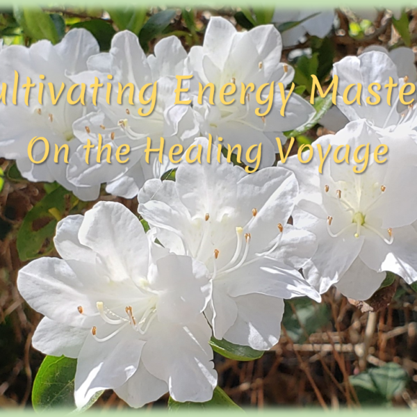 Cultivating Energy Mastery for Self-Healing – An Introduction